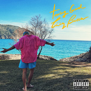 鲁大师手机在线观看免费版第3集
